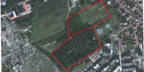 Parteneriatul dintre USAMV şi Primăria Cluj-Napoca va fi discutat mâine, în şedinţă de Consiliu Local