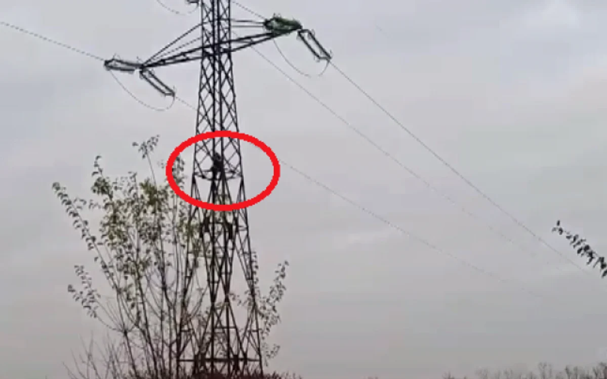 FOTO: MDI Tv