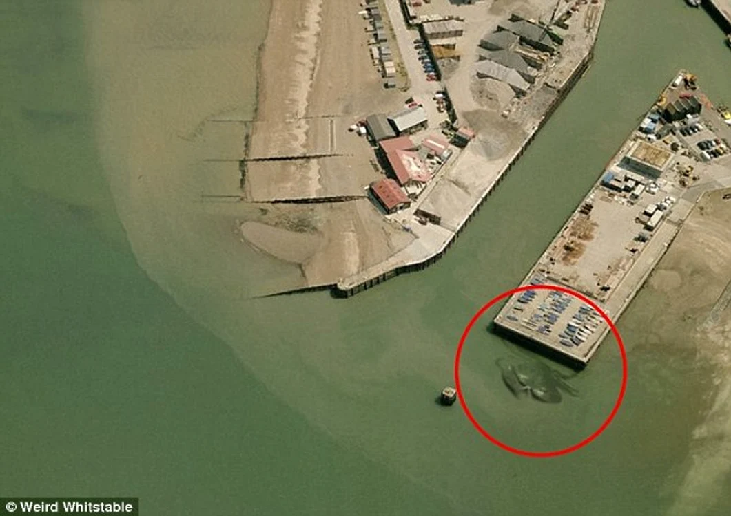 
    Imaginea arată un crab uriaş, de cel puţin 12 metri lungimeFoto: Weird Whitstable  