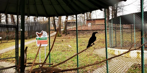 Zoo Hunedoara  Foto Daniel Guță jpg