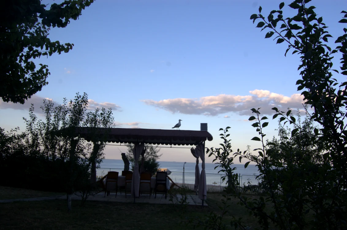 Peisaj de vară  pe Terasa scriitorilor din Neptun FOTO M.I.