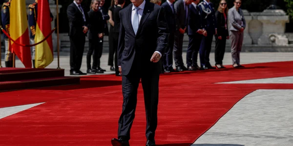 Klaus Iohannis   Frank Steinmeier Foto Inquam Photos Octav Ganea (8) jpg