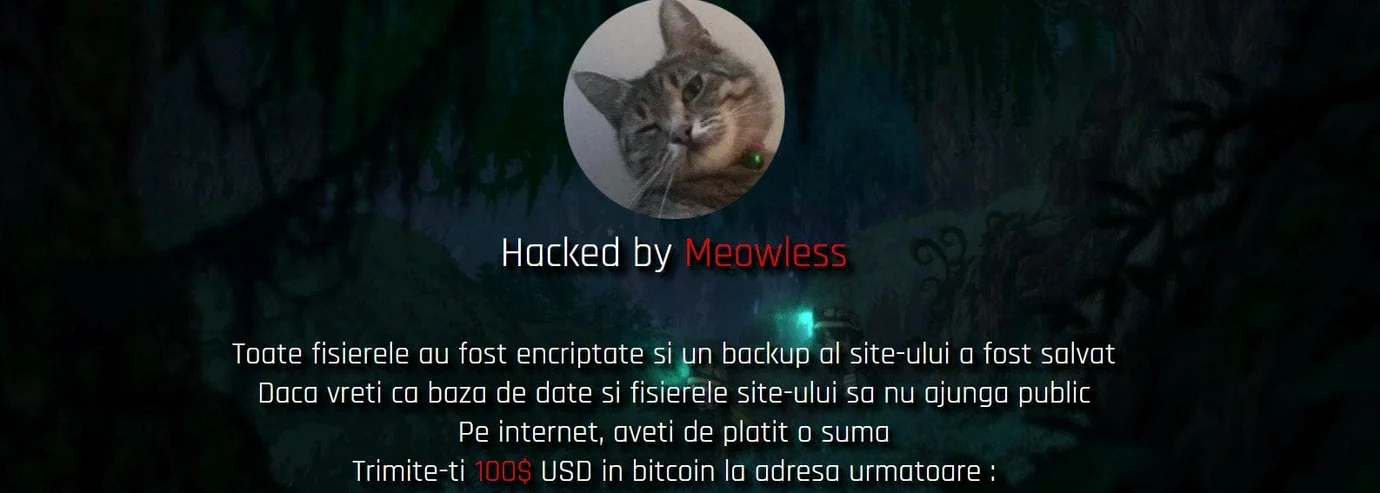 Hackerul Meowless a fost trimis la cursuri Foto: Actual de Cluj