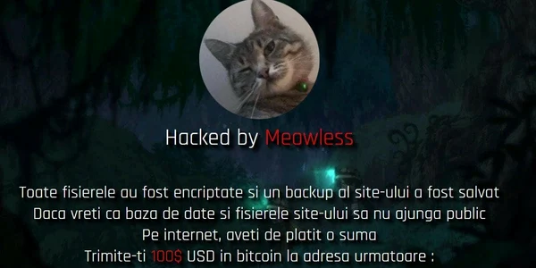 hackerul Meowless jpg