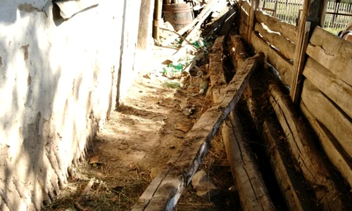 historia ro undefined jpeg