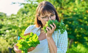 menta greata sanatate jpg