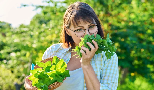 menta greata sanatate jpg