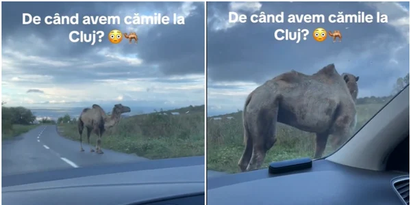 camila jpg