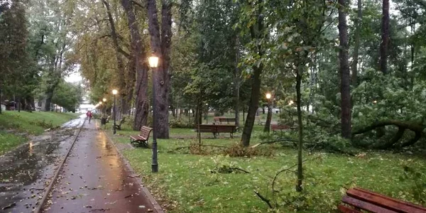 furtuna in bistrita 1