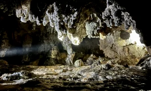 pestera apuseni webp