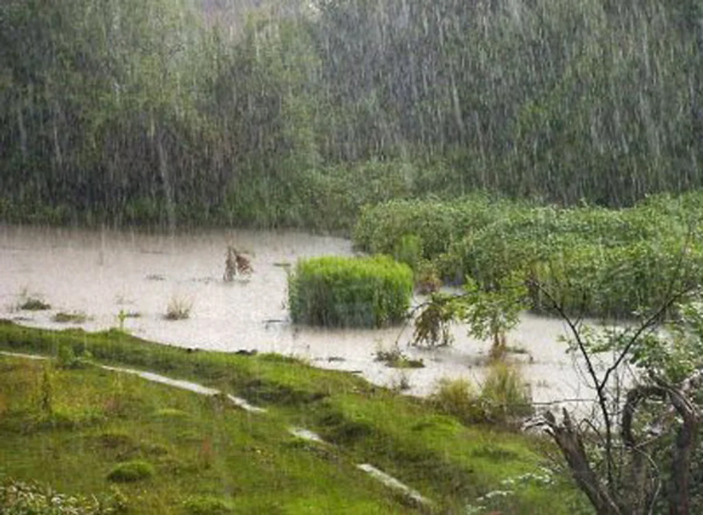 
    În zonele montane în acest weekend vom avea parte de precipitații sub formă de ploaie dar și zile cu soarefoto: Click!  