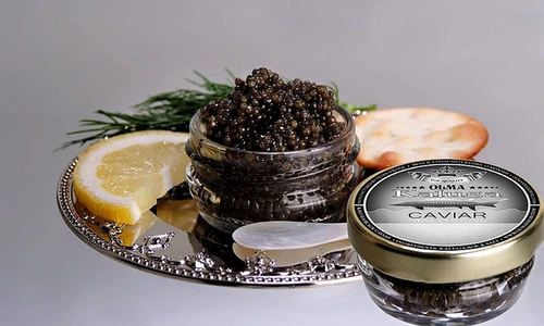 beluga caviar luxury food jpeg