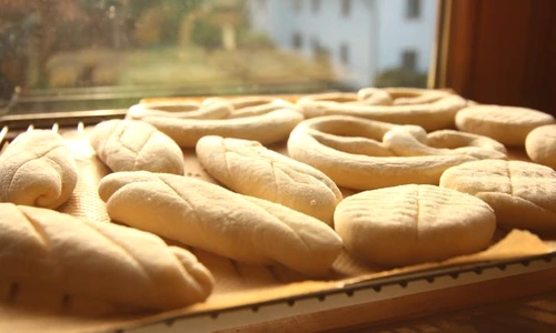 1 shutterstock 1517030813 jpg jpeg