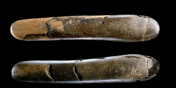 dildo