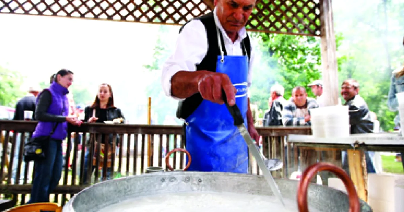 Timişoara: Măritatul mioriţelor bănăţene cu berbeci italieni aduce profit