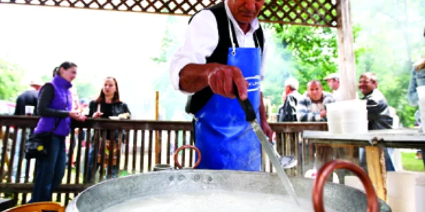 Timişoara: Măritatul mioriţelor bănăţene cu berbeci italieni aduce profit