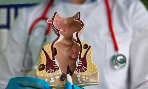 shutterstock 2479097601 jpg