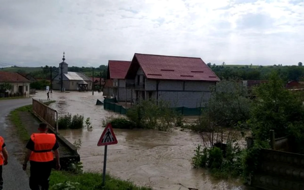 ISU Timiş