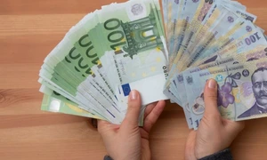 lei euro bani FOTO Shutterstock