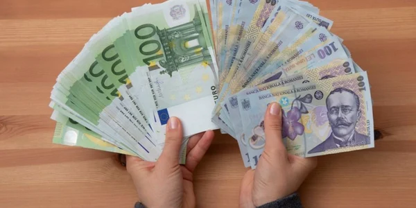 lei euro bani FOTO Shutterstock