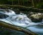 Munţii Făgăraş deţin „cea mai sălbatică vale a Europei” în Vâlcea - Valea Boia Mică Foto Agent Green - credit Matthias Schickhofer - Euro Natur