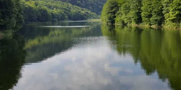 cozia