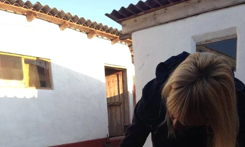 Elena Udrea jpeg
