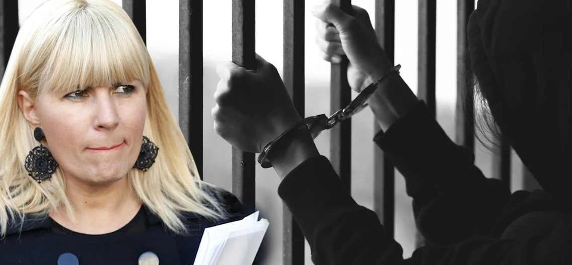 cub elena udrea png