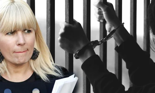 cub elena udrea png