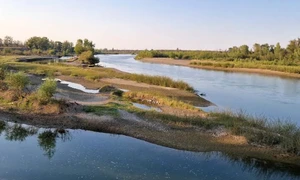 Baltă din comuna Suraia, Vrancea FOTO Google Maps