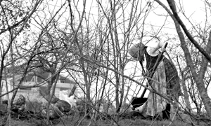 Cu ochii n 3,14 jpeg