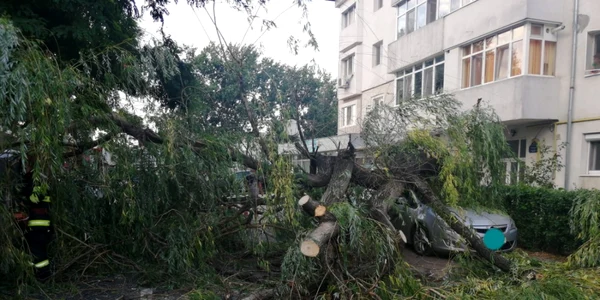 pompieri interventie copac focsani