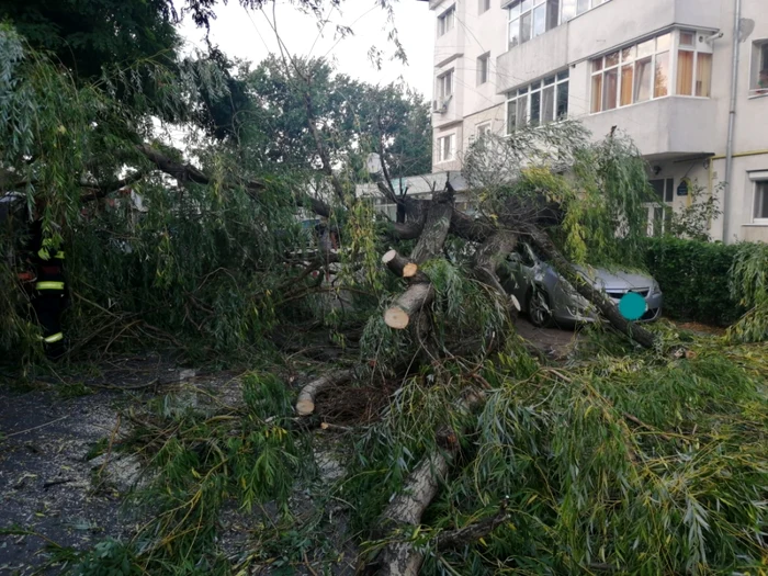 Copacul a căzut peste două maşini FOTO: ISU Vrancea