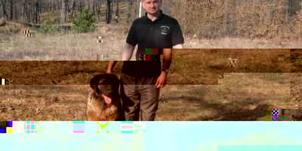 Florin Fîrtea şi-a transformat pasiunea în meserie