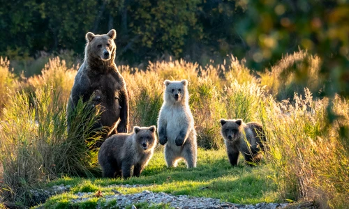 1 shutterstock 1221194992 jpg jpeg