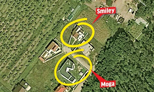 smiley jpeg