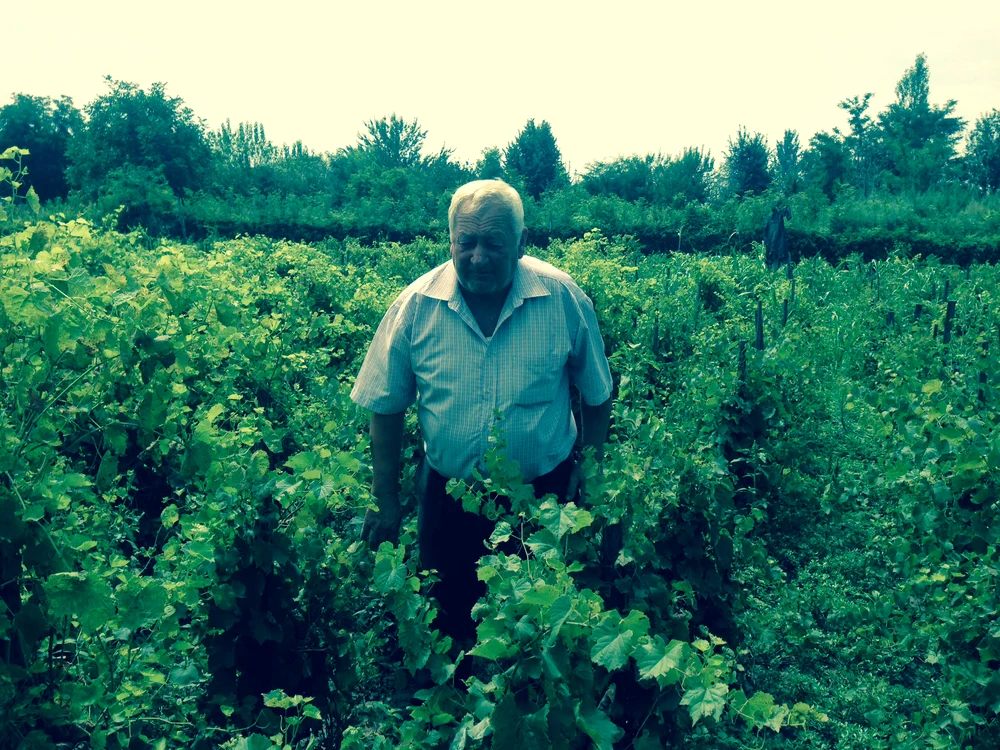 Liviu Dumitraşcu spune că anul acesta  va face doar un sfert din  producţia de vin de anul trecut