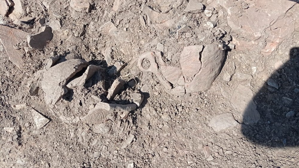 Dovezi de ritualuri cu sacrificii umane descoperite într-un sit arheologic din România
