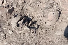 Vestigii vechi de peste 4000 de ani, descoperite în județul Harghita (foto: Muzeului Național al Carpaților Răsăriteni)