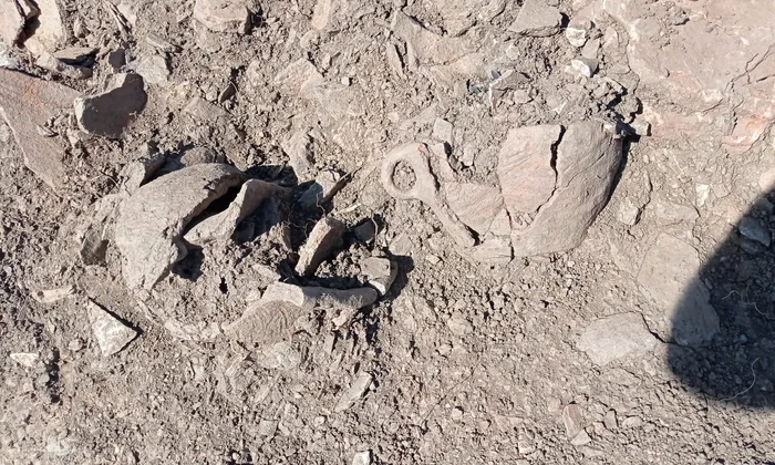 Vestigii vechi de peste 4000 de ani, descoperite în județul Harghita (foto: Muzeului Național al Carpaților Răsăriteni)