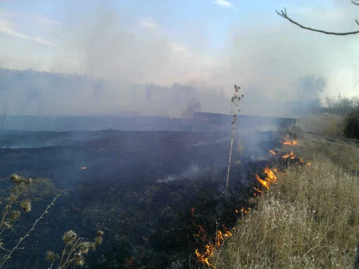 Flăcările s-au extins cu repeziciune, din cauza vântului