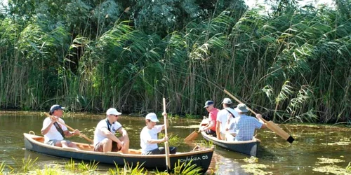 canotca delta