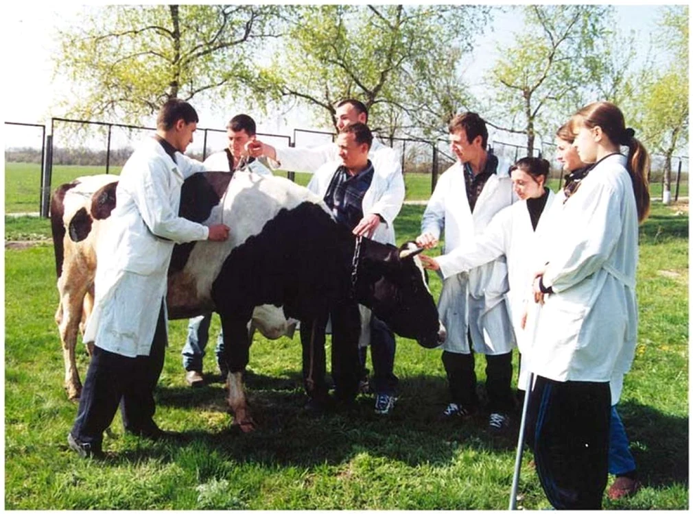 Facultatea de Zootehnie este una dintre cele mai puţin solicitate FOTO: uasm.md