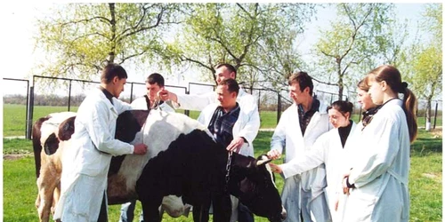 Agricultura