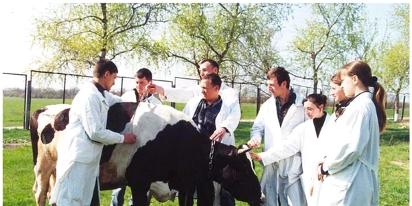 Agricultura