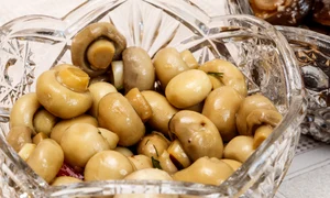 mushrooms 4765313 1280 jpg