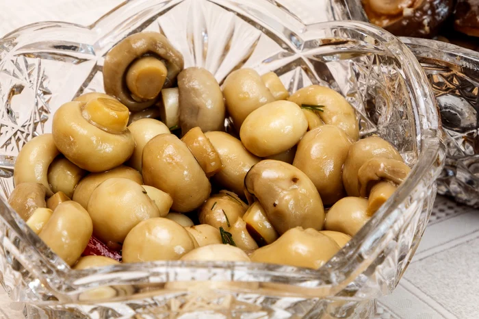 Ciuperci murate / FOTO: Pixabay