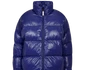 10 palton10 png png