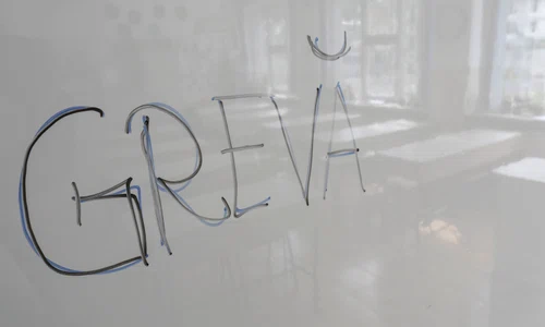 Greva generala in invatamant 22 mai 2023  Foto Inquam Photos Octav Ganea (6) jpg