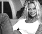 pamela anderson jpeg